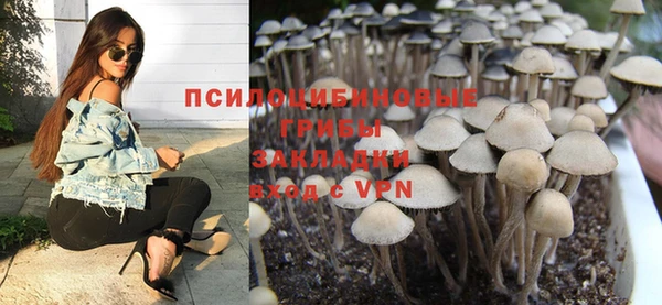 spice Дмитриев