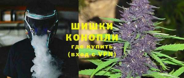 spice Дмитриев